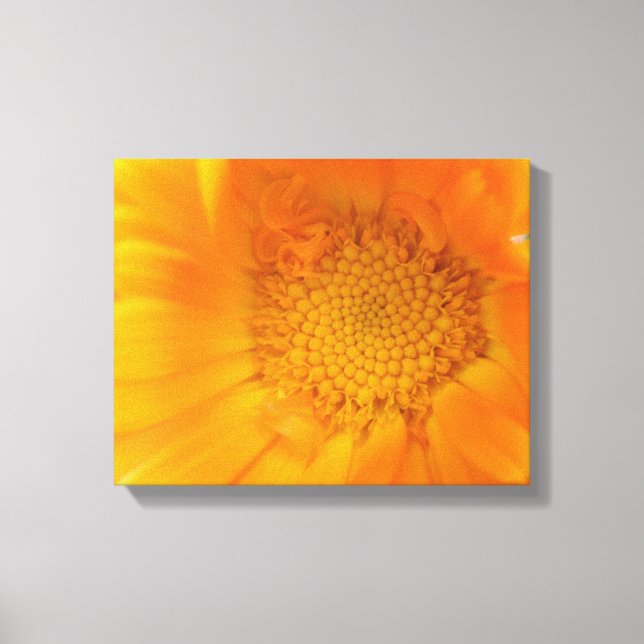 Orange Marigold Macro Canvas Print (Front)