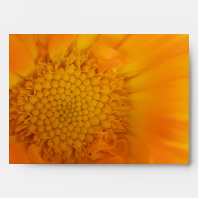 Orange Marigold Macro Envelopes (Front)