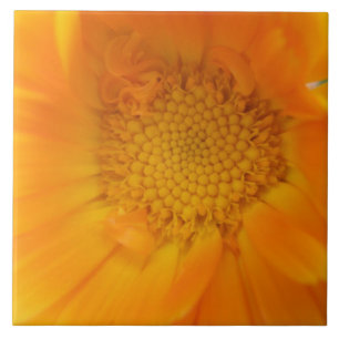 Orange Marigold Macro Tile