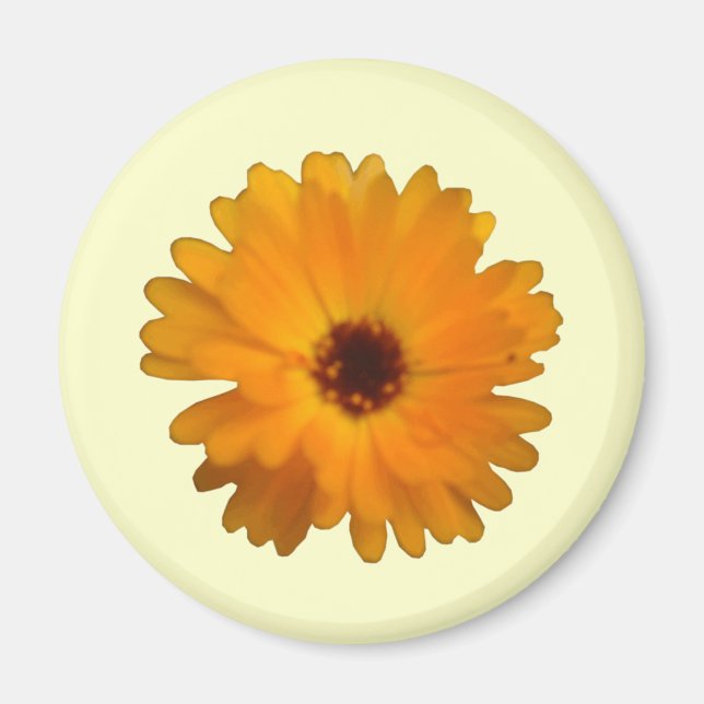 Orange Marigold Magnet (Front)