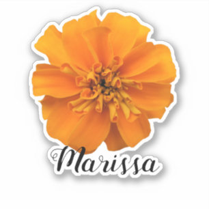 Orange Marigold Name