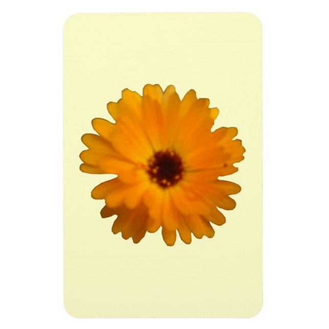 Orange Marigold Premium Magnet (Vertical)