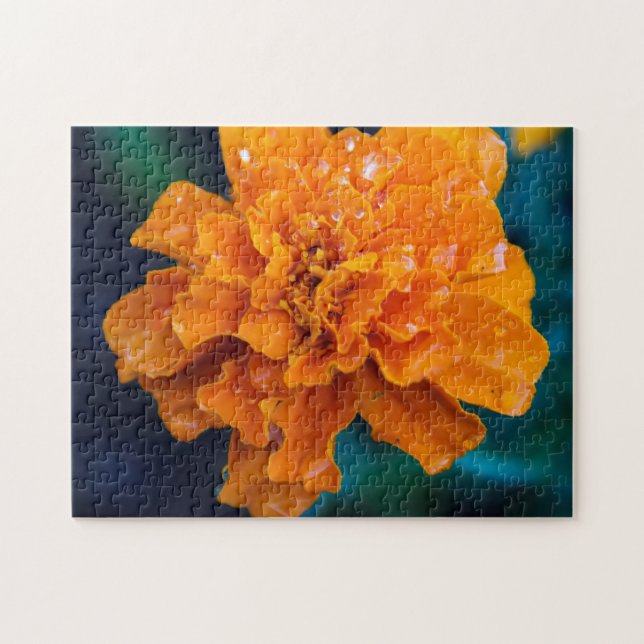 Orange Marigold Puzzle (Horizontal)