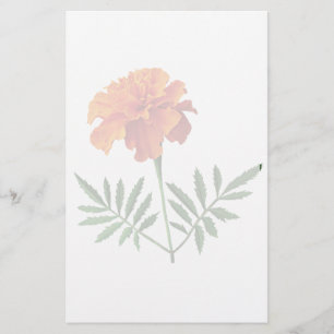 Orange Marigold Stationery