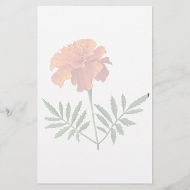 Orange Marigold Stationery (Front)