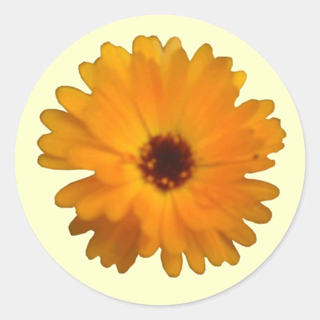 Orange Marigold Sticker (Front)