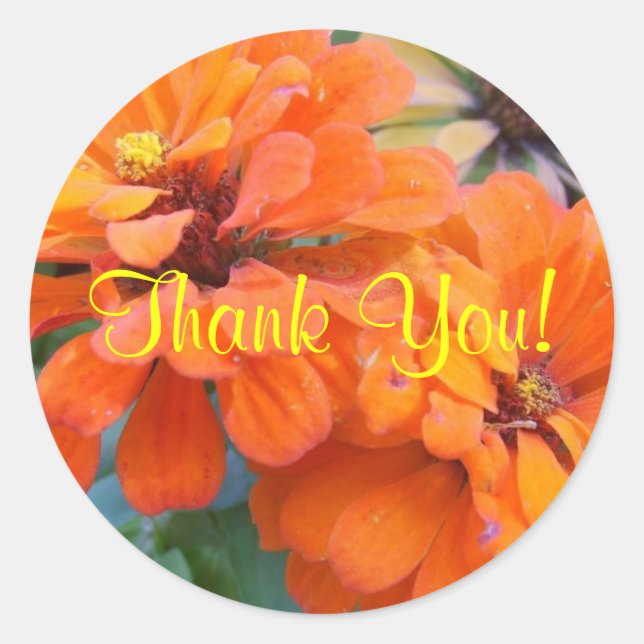 Orange Marigolds Classic Round Sticker (Front)