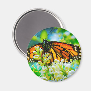 Orange monarch butterfly photo bold modern stylish magnet