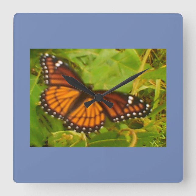 Orange Monarch Square Wall Clock (Front)