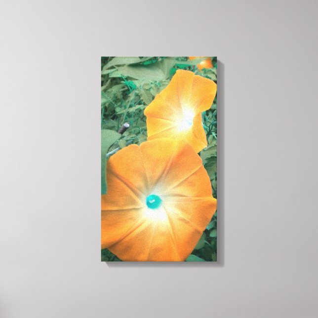 Orange Morning Glories Wrapped Canvas (Front)