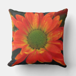 Orange Mums Outdoor Accent Pillow