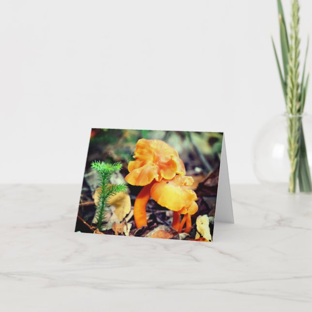 Orange Mushroom Nature Note Card (Front)