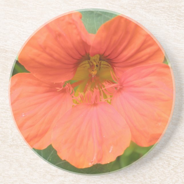 Orange Nasturtium Flower Coasters (Front)