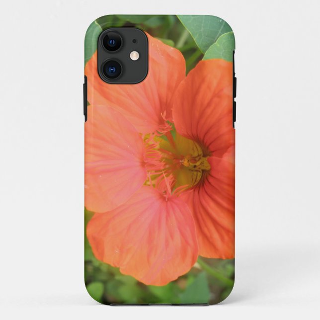 Orange Nasturtium Flower iPhone 5 Case (Back)