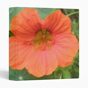 Orange Nasturtium Photograph Album Binder