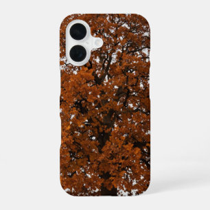 Orange Oak Tree Autumn Phone Case