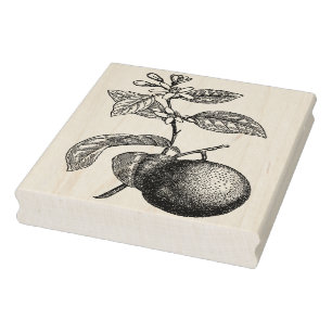 Orange on Branch with Blossoms Rubber Stamp
