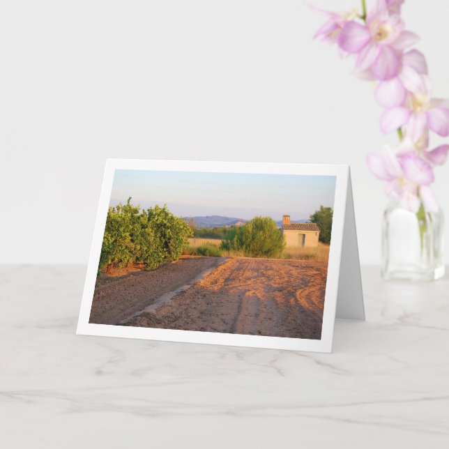Orange Orchard Landscape Card (Orchid)