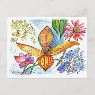 Orange Orchid Drawing Postcard