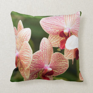 Orange Orchid Hybrid, South Africa Throw Pillow