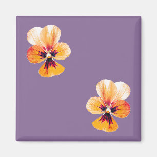 orange pansies magnet