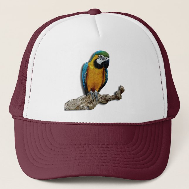 Orange Parrot alone hat (Front)
