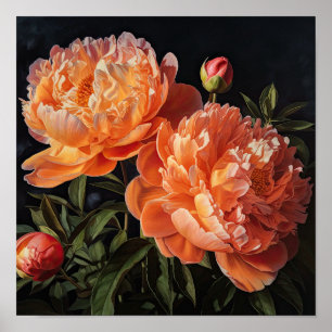 Orange Peonies Flower Art Imprimer Poster