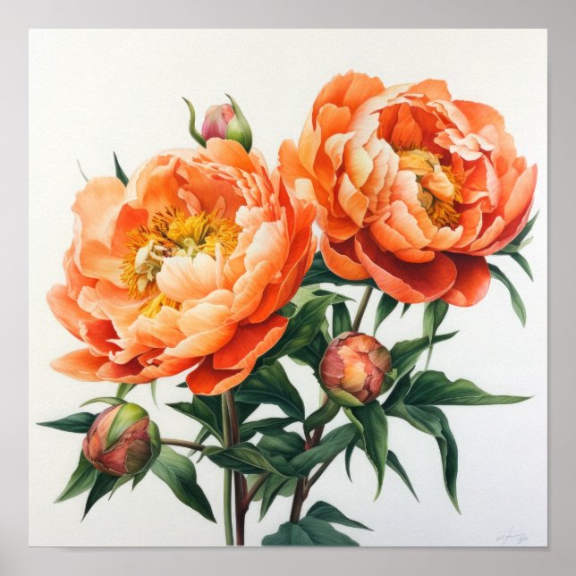 Orange Peonies Flower Art Imprimer Poster (Devant)