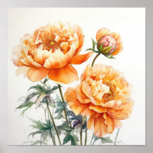 Orange Peonies Flower Art Imprimer Poster