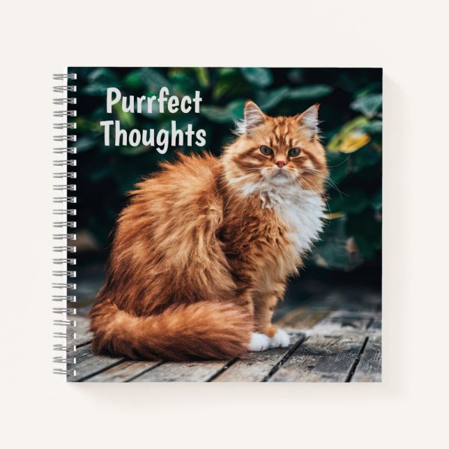 Orange Persian Cat Notebook (Front)