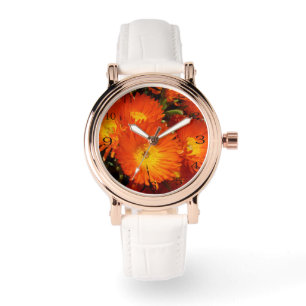 Orange Petals: Australian Big Orange Daisies, Watch