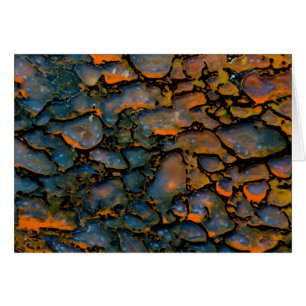 Orange Petrified dinosaur bone