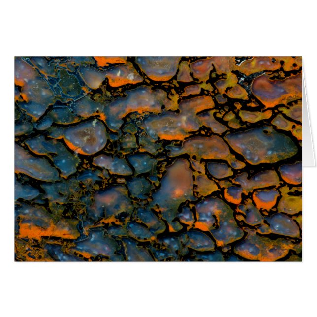 Orange Petrified dinosaur bone (Front Horizontal)