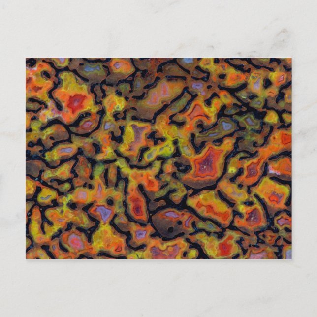 Orange Petrified Dinosaur Bone Postcard (Front)