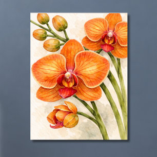 Orange Phalaenopsis Orchid Botanical Poster
