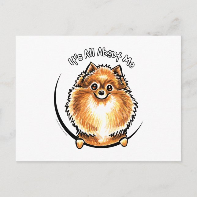 Orange Pomeranian IAAM Postcard (Front)