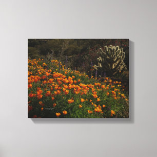 Orange Poppies Desert Wildflowers Cholla Cactus Canvas Print