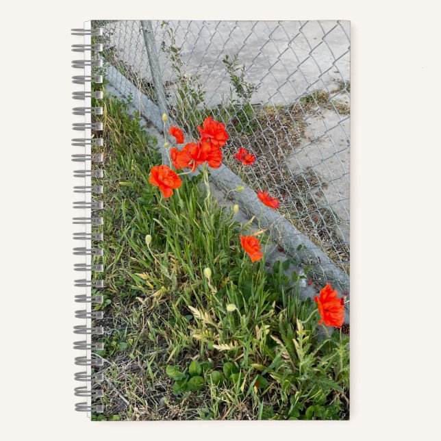 Orange Poppies Journal (Front)