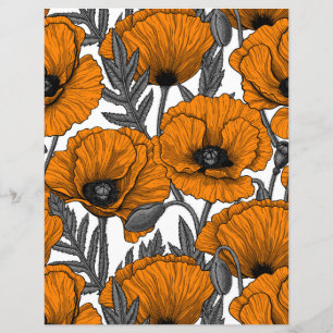 Orange poppies on white