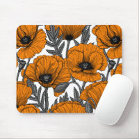 Orange poppies on white
