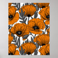 Orange poppies on white