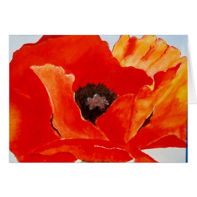 Orange Poppy (Front Horizontal)