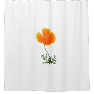 orange poppy
