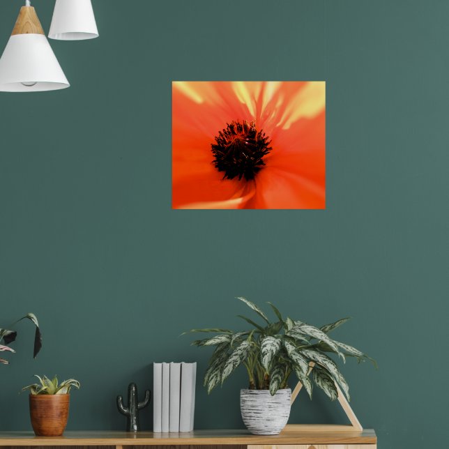 Orange poppy - Customized - Soft Poster (Living Room 1)