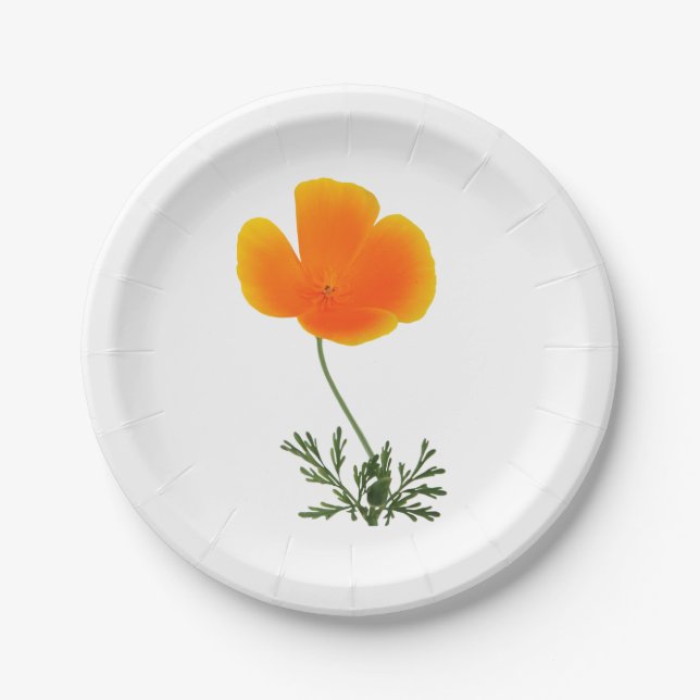 orange poppy paper plate (Front)