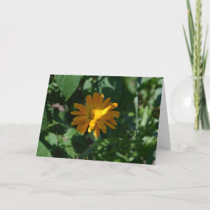 Orange Pot Marigold Flower (Calendula officinalis) Card