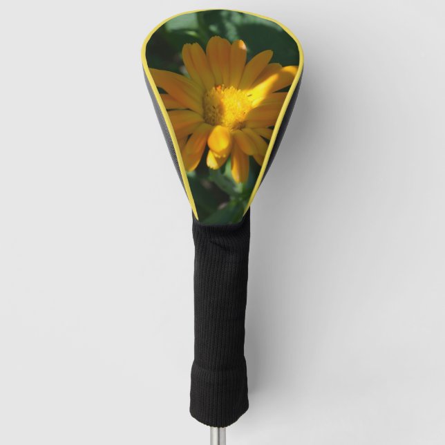 Orange Pot Marigold Flower (Calendula officinalis) Golf Head Cover (Front)