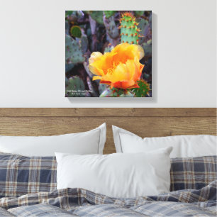 Orange prickly pear cactus blossom photo canvas print