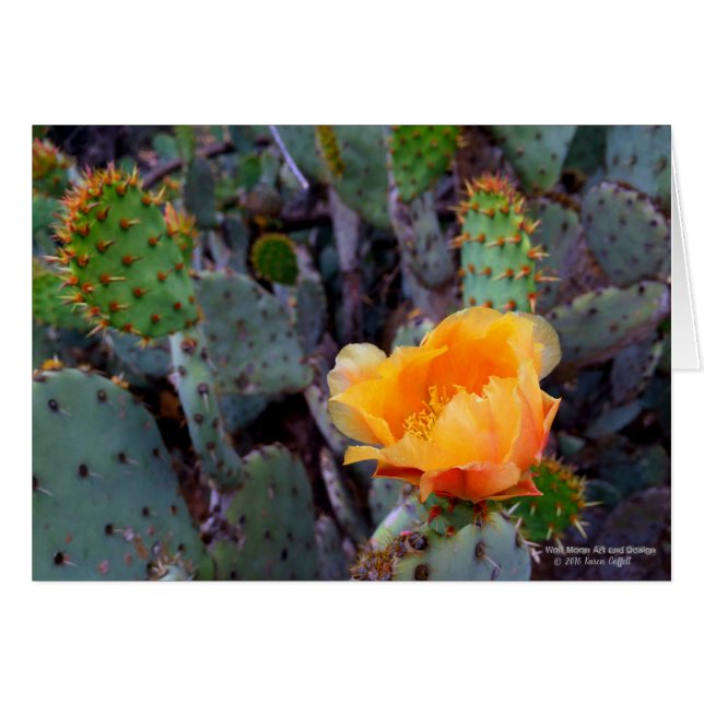 Orange Prickly Pear Cactus Flower Blossom (Front Horizontal)