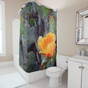 Orange Prickly Pear Opuntia Cactus Flower Photo